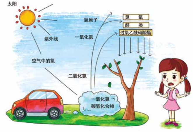 臭氧知識(shí)科普（2） | 臭氧跟光化學(xué)煙霧、PM2.5有什么關(guān)系？
